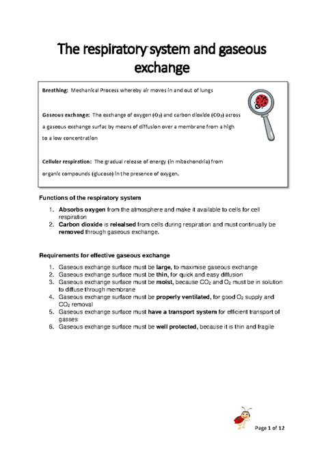 Respiratory System and Gaseous Exchange: Mechanisms and Disorders - The respiratory system and ...