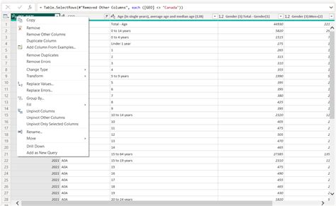 Image result for Power Query Screen