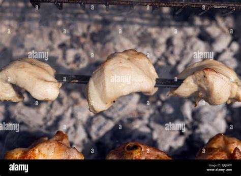 Image result for Cooking On a Log