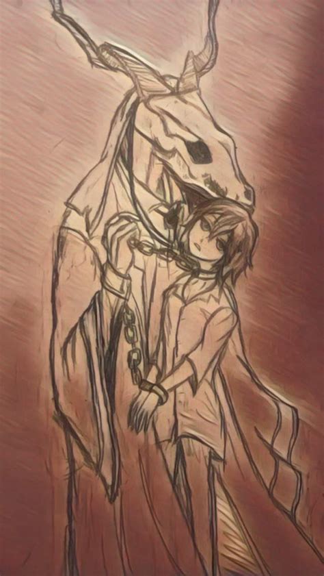 Image result for Ancient Magus Bride FUNimation