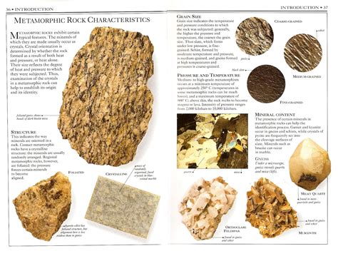 Lab 2-5 Metamorphic Rock Identification at Robert Parsley blog