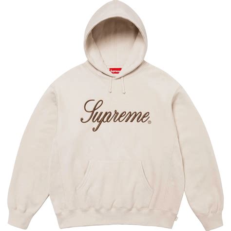 Embroidered Script Hooded Sweatshirt | Supreme 24fw