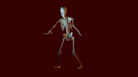 Image result for Skeleton Dance Animation