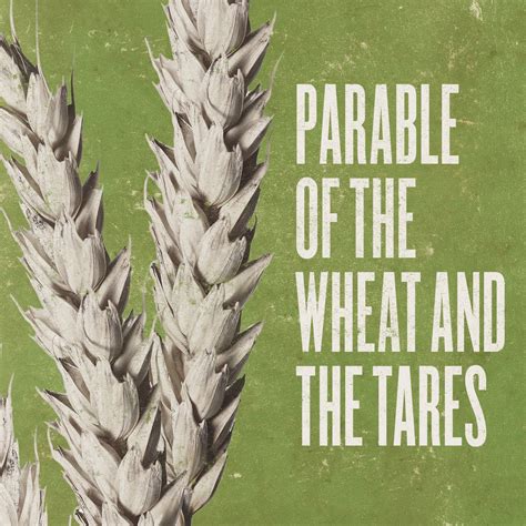 Bible Verse Sowed Tares Among The Wheat at Eloise Rameriz blog