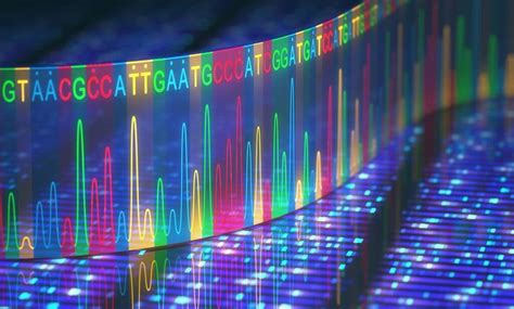Image result for DNA Barcoding Methods
