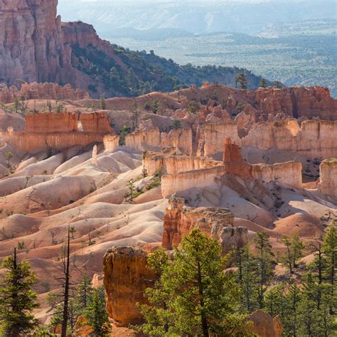 Point 的图像结果