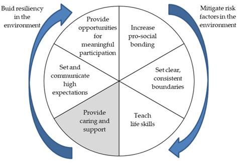 Resilience: Conceptualization and Keys to Its Promotion in Educational ...
