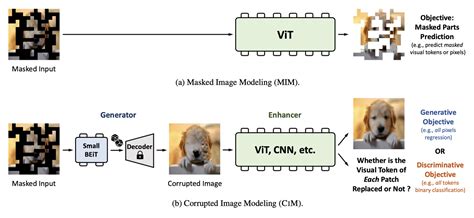 Mae Deep Learning 的图像结果