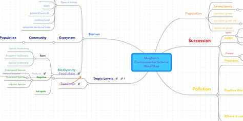 Environment Mind Map 的图像结果