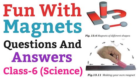 Class 6 Science Fun with Magnet Question and Answer 的图像结果