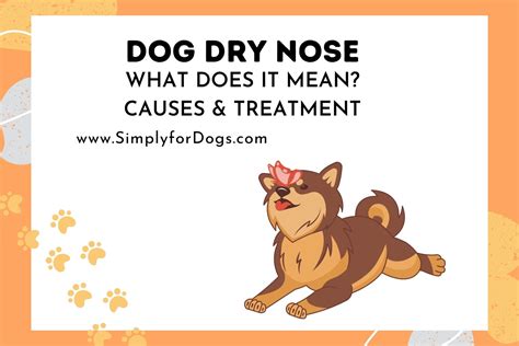 Dry Nose Treatment