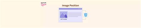 How to Change Image Position in CSS 的图像结果