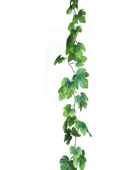 Free Hanging Vines Png, Download Free Hanging Vines Png png images ...