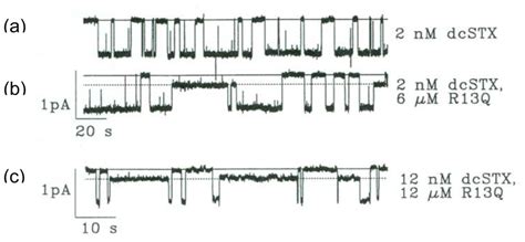 The Tetrodotoxin Receptor of Voltage-Gated Sodium Channels—Perspectives ...