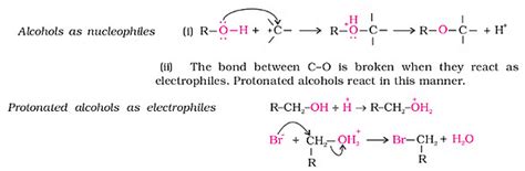 Alcohols and Phenols: Properties - Chemistry Class 12 - NEET PDF Download