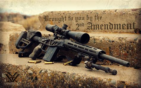 Image result for 2nd Amendment Profile Pic