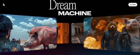 Luma Generate Video Process 的图像结果