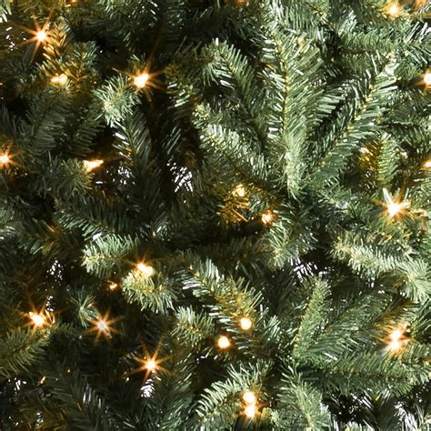 BalsamHill Balsam Hill 6.5ft Pre-Lit Berkshire Mountain Fir - India | Ubuy