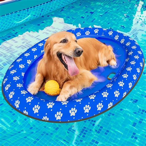 Amazon.com: LeapSheep Dog Pool Float Summer Dog Floats for Pool, Sturdy ...
