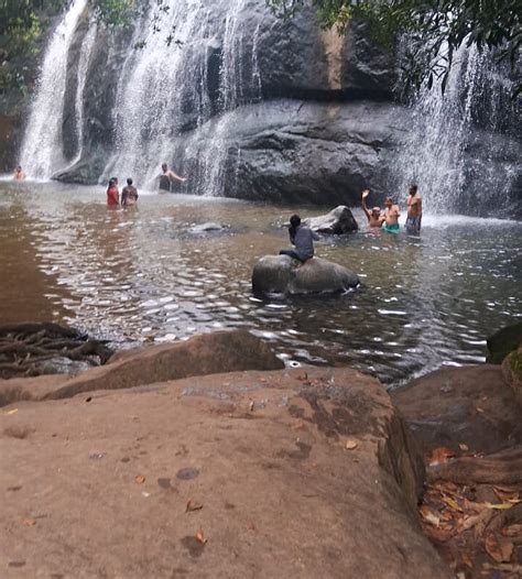 AANACHADIKUTHU WATERFALLS (2026) All You Need to Know BEFORE Going ...