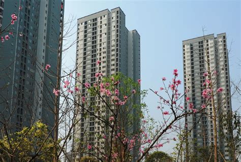 重庆市每个区的公租房有哪些_百度知道