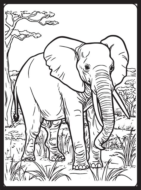 Embark on a Wild Adventure with Coloring Pages Safari