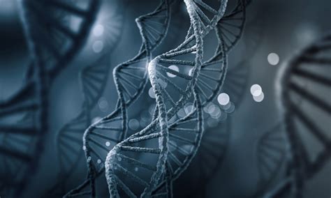 Image result for What Is DNA Analysis