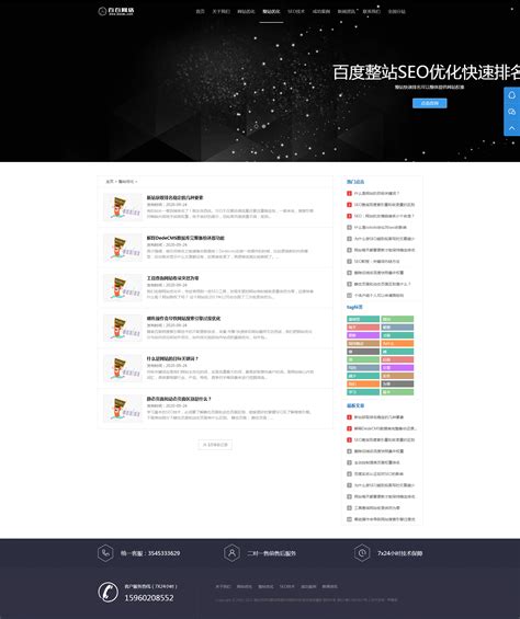 整站SEO优化网络公司企业网站系统-野葡萄