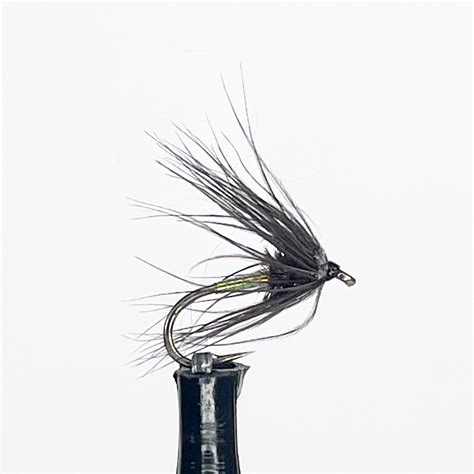 Image result for Magic String Fly