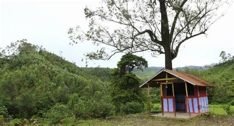 Anamudi Peak (Munnar) - 2021 What to Know Before You Go (with Photos ...