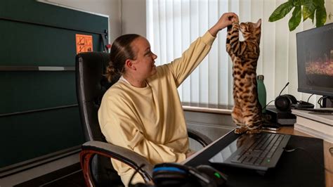 Image result for Clicker Training Cats