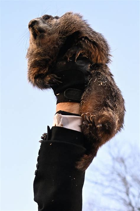 Giant Eagle is offering customers gift cards in exchange for pennies