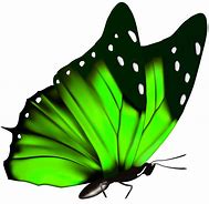Image result for Butterfly and Lily Forearm Tattoo
