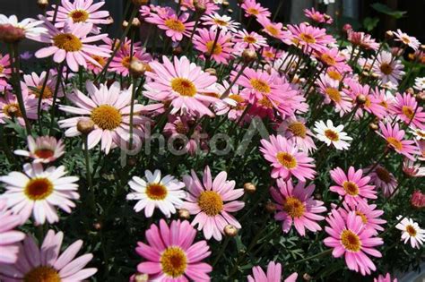 Image result for HTML Framework Practice