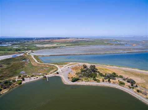 Naturetastic Blog: Shoreline Park - Mountain View, CA (Aerial ...