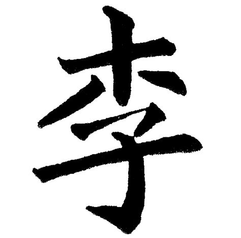 木+子是什么字_李怎么读_李是什么意思_李字词语|成语 - 中华字典
