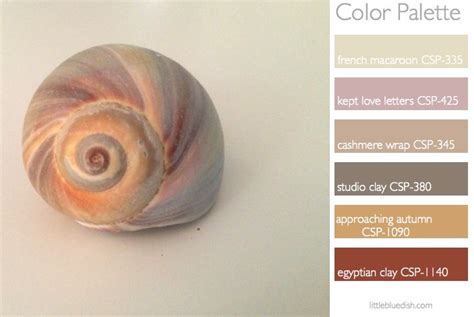 Image result for Shell Casing Color Palette
