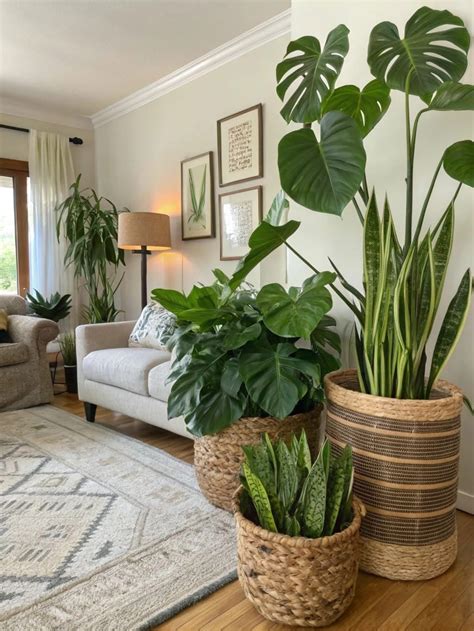 Pin by Mina Calupitan on Our Home in 2025 | Living room plants, Decor ...