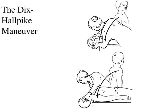 PPT - Introduction: The Balance System PowerPoint Presentation, free ...