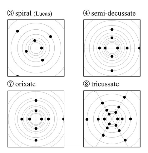 Image result for Rotating Leaf Pattern