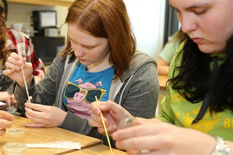 Blast Biotechnology Example 的图像结果