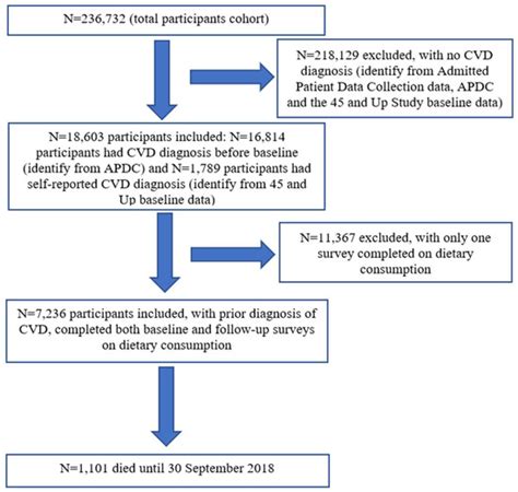 Different Types of Long-Term Milk Consumption and Mortality in Adults ...