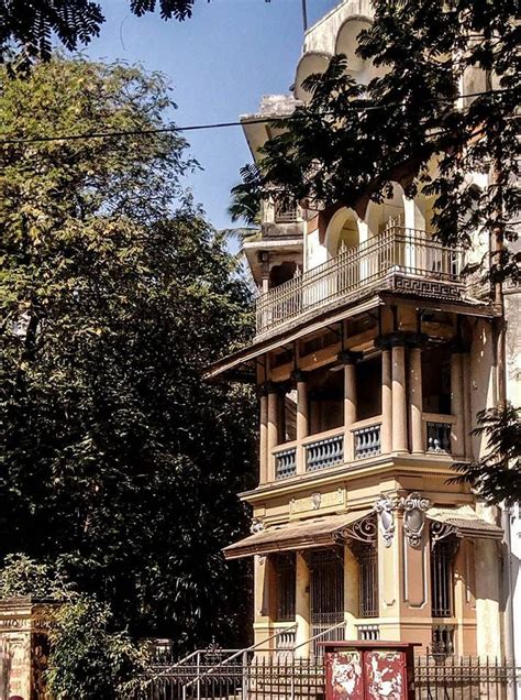 Matunga 的图像结果