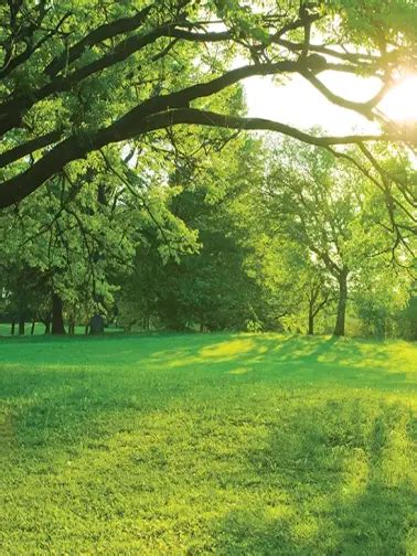 Godrej Orchard Estate, Besa, Nagpur | Get Brochure, Layout & Price | SLOC