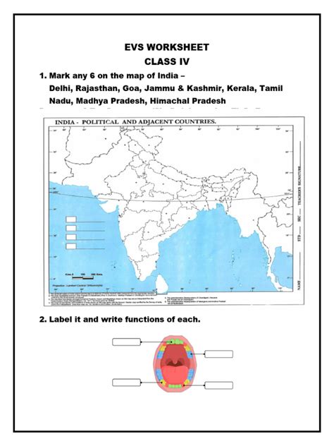 Image result for Class 4 EVS Worksheet