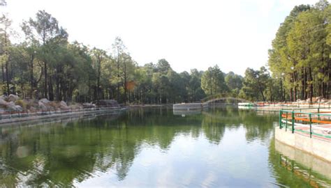 16 Most Beautiful Places To Visit In Palampur In 2025!