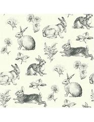 Image result for Rabbit Hole Wallpaper