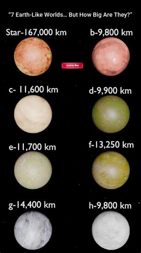 “7 Earth-Like Worlds… But How Big Are They?”#planet #universe #shorts