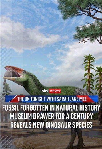A fossil tucked away in a Natural History Museum drawer for over a century has revealed a previously unknown dinosaur species. 🦖 Palaeontologist Dr Cassius Morrison tells @skysarahjane why the discovery is so significant. ⬇️ #SkyNews #TUKT #UK #Dinosaurs #NaturalHistoryMuseum