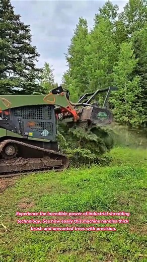 Watch This Powerful Forestry Mulcher Shred Entire Trees Easily #satisfying #oddlysatisfying #forest